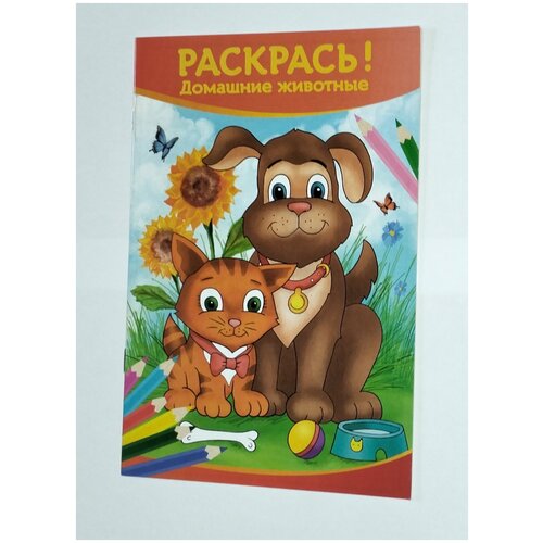 Раскрась! Домашние животные