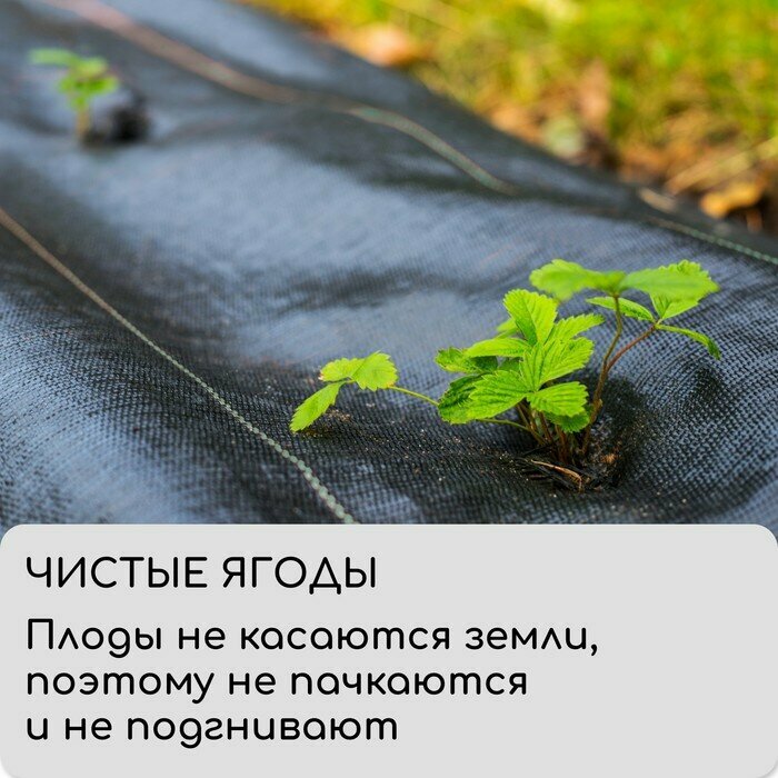 Greengo Агроткань застилочная, с разметкой, 5 × 3,2 м, плотность 100 г/м², полипропилен, Greengo, Эконом 50% - фотография № 4