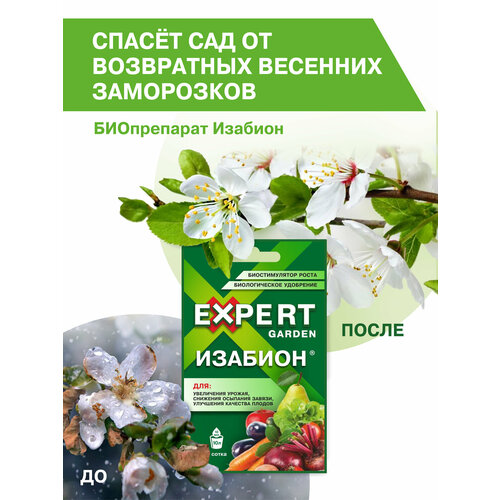 EXPERT GARDEN жидкое органоминеральное, биологическое удобрение, биостимулятор роста, для увеличения урожая, уменьшения осыпания завязи на деревьях и растениях, Изабион, КС 10 мл.