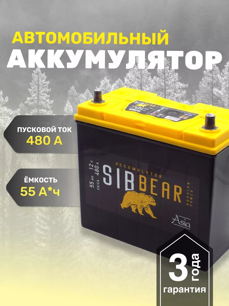 Аккумулятор для авто АКБ SIBBEAR ASIA 65B24L 55 А*ч о. п.