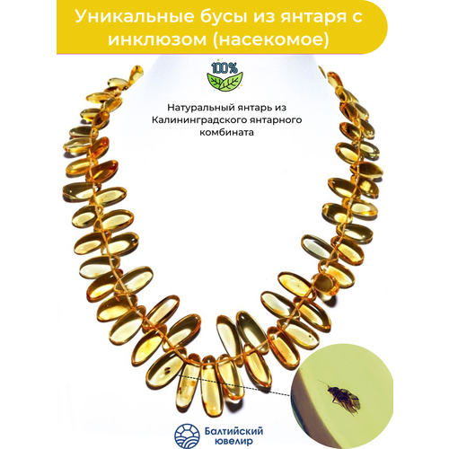 Бусы Балтийский Ювелир, длина 50 см, желтый