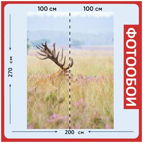 Фотообои Олень красный олень рога на стену 270x200 см 2940₽
