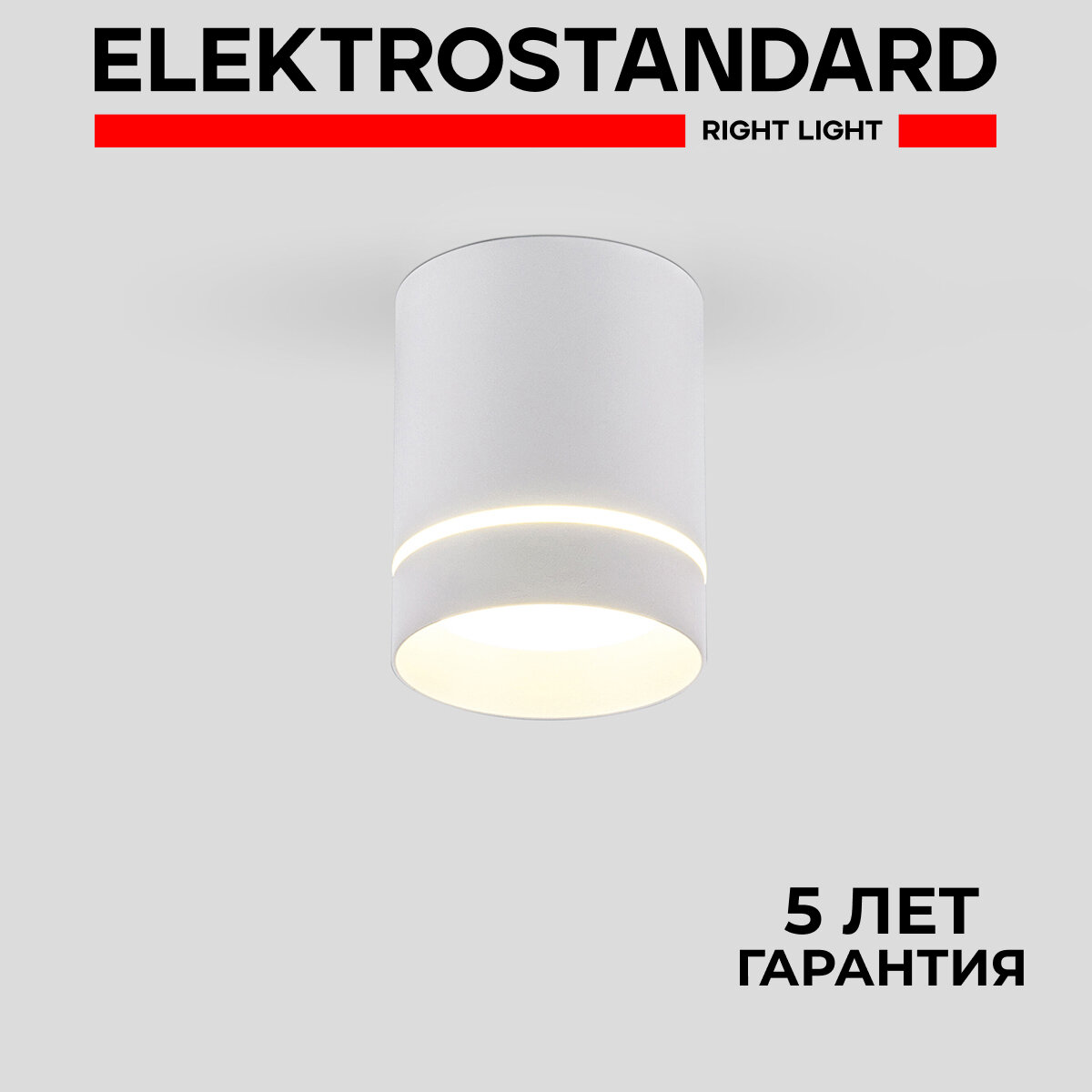 Спот / Накладной потолочный светодиодный светильник Elektrostandard Topper DLR021 9W 3000K, цвет белый матовый IP20