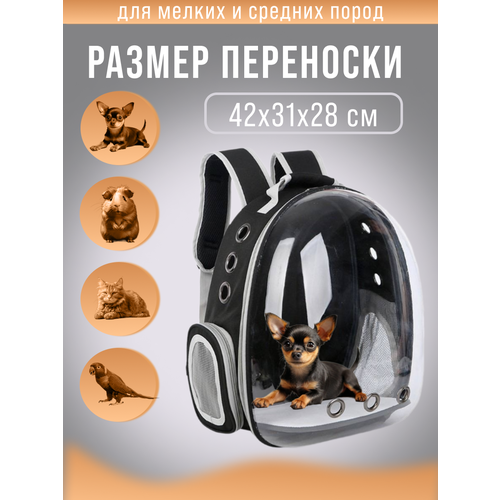 фото Рюкзак переноска для кошек и собак с иллюминатором до 7 кг цвет черный podarkindom