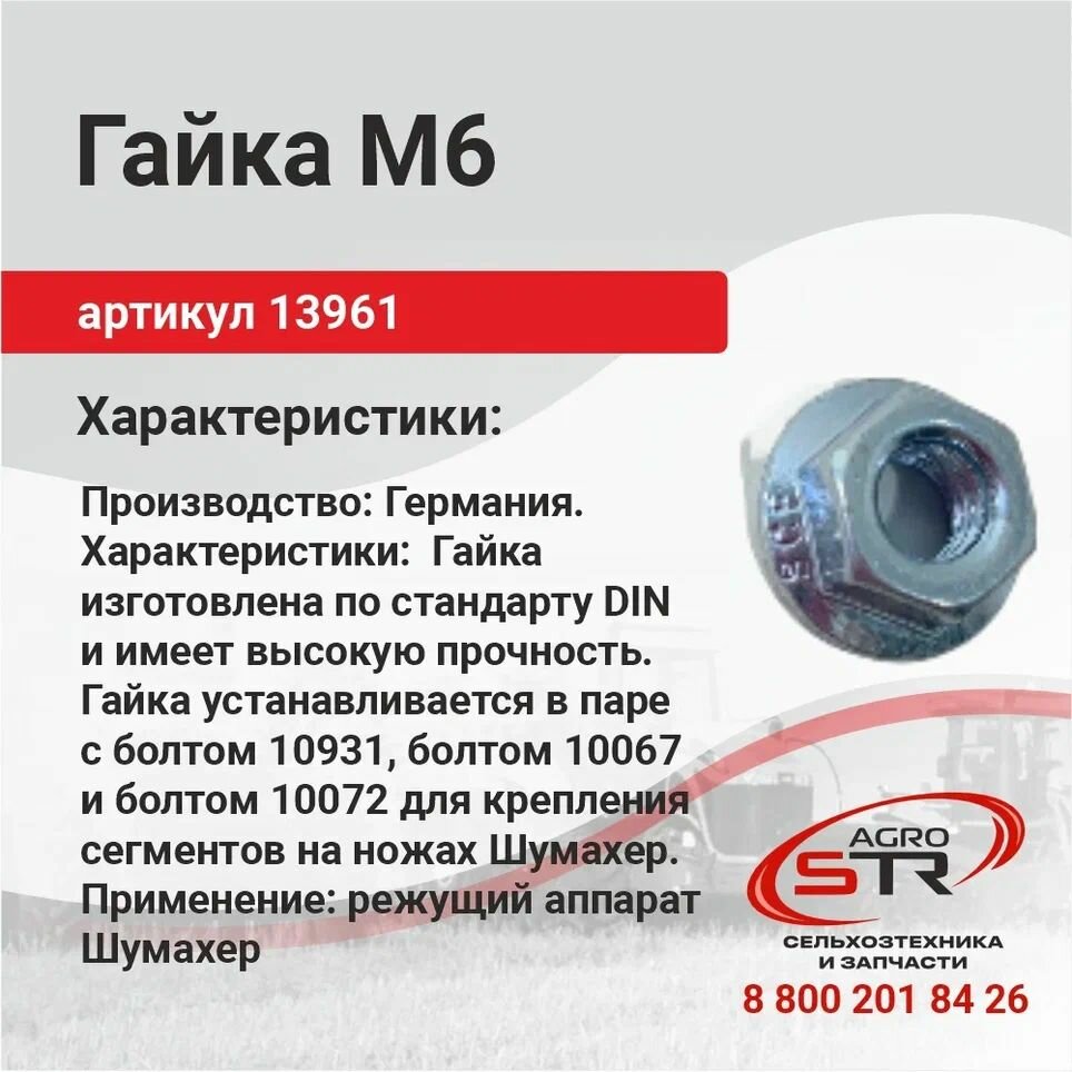SCH (шумахер) 13961 Гайка М6 (крепления сегмента)