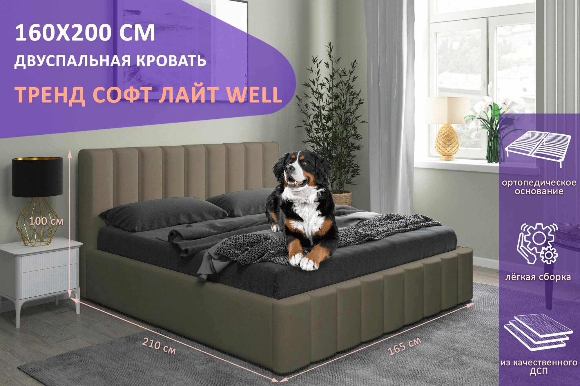 Двуспальная кровать Тренд Софт Лайт WELL 160х200 см, с ортопедическим подъемным механизмом, без ножек, цвет темно-серый