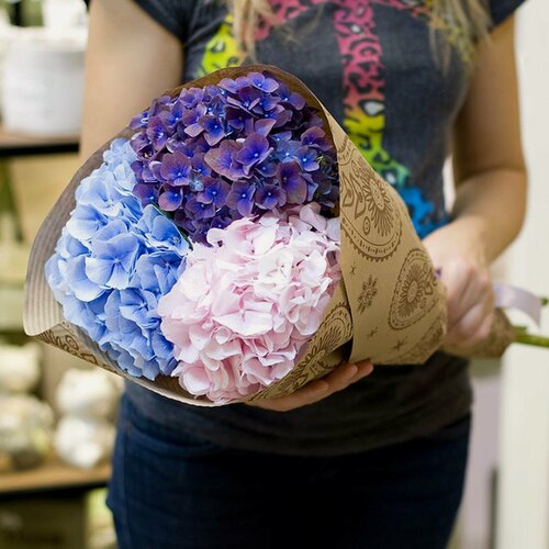 Изображение товара Монобукет "Шарлотта", гортензия, оформление крафт-бумага, 3 цветка