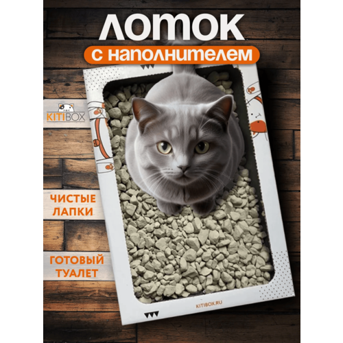 Наполнитель и лоток 2-в-1KiTiBOX. Долгоиграющий одноразовый туалет для котов