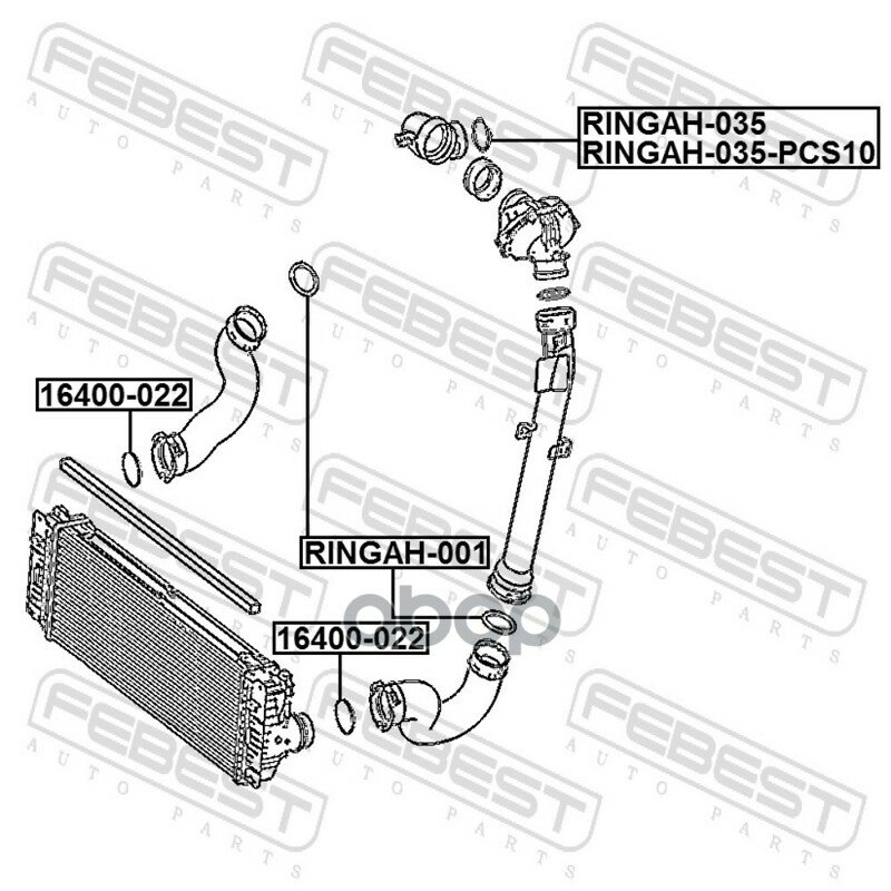 Кольцо уплотнительное воздушного патрубка Febest арт. RINGAH035PCS10 — фото 1
