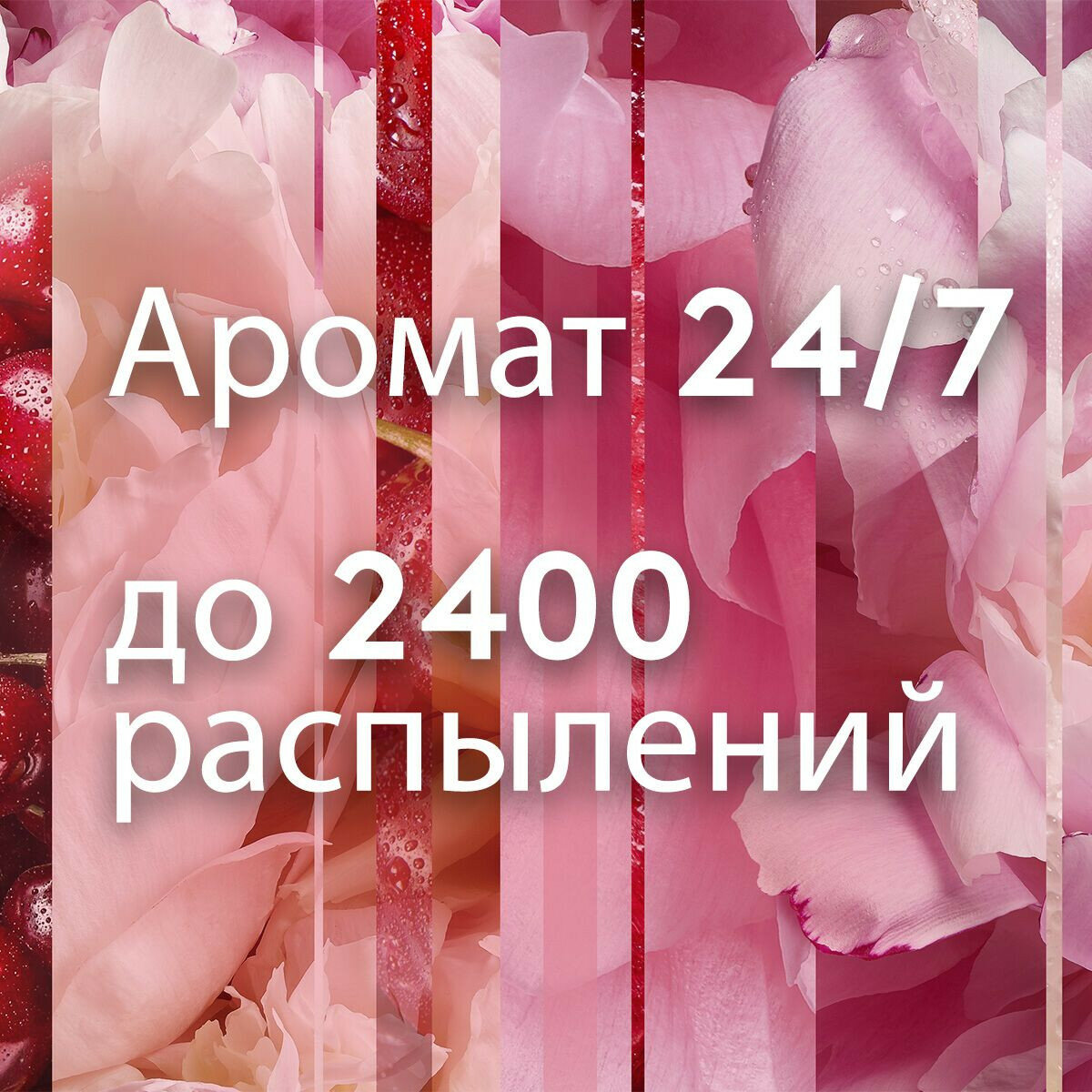 освежитель воздуха GLADE Automatic Кокосовый Бали 269мл сменный блок - фото №8