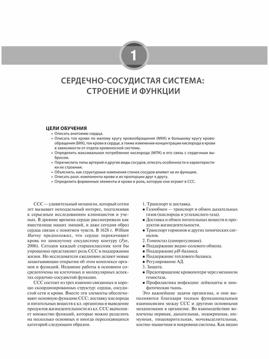 Анатомия и физиология сердечно-сосудистой системы - фото №19