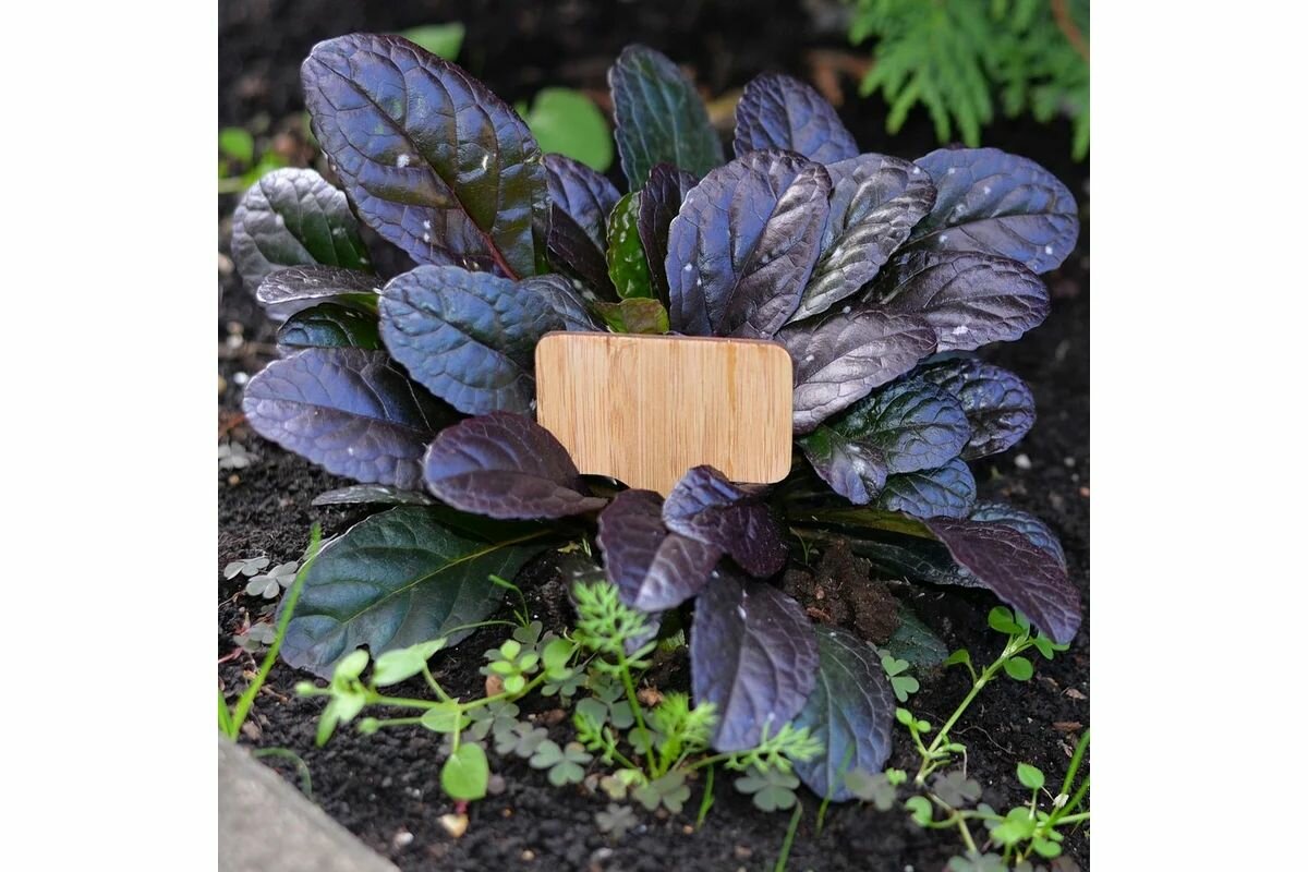 Мультидом Набор садовых табличек VL83-33, 8 шт, натуральный — фото 1