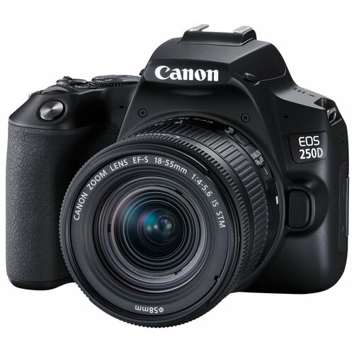 Фотоаппарат Canon EOS 250D Kit EF-S 18-55mm f4-56 IS STM черный 74979₽