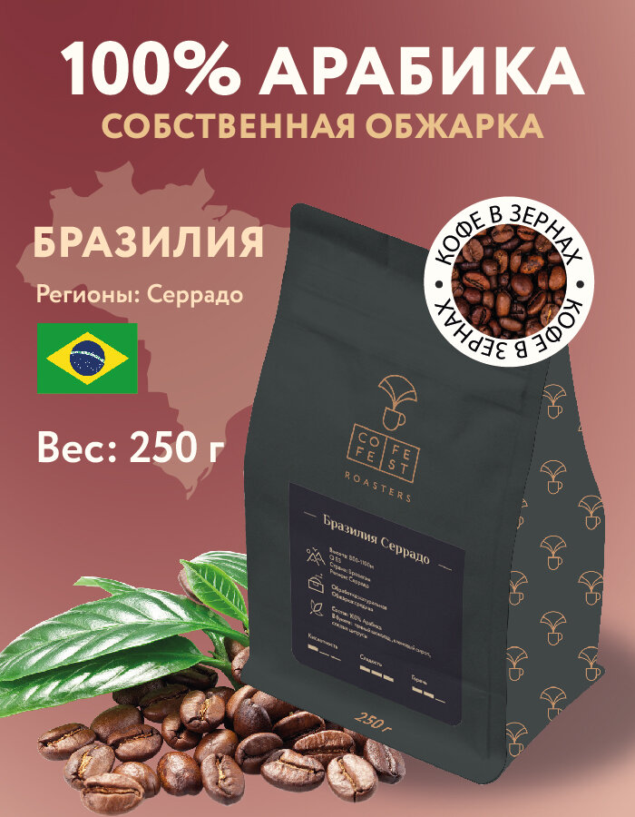 Кофе в зернах CofeFest Бразилия Серрадо 100% Арабика свежеобжаренный 250 г