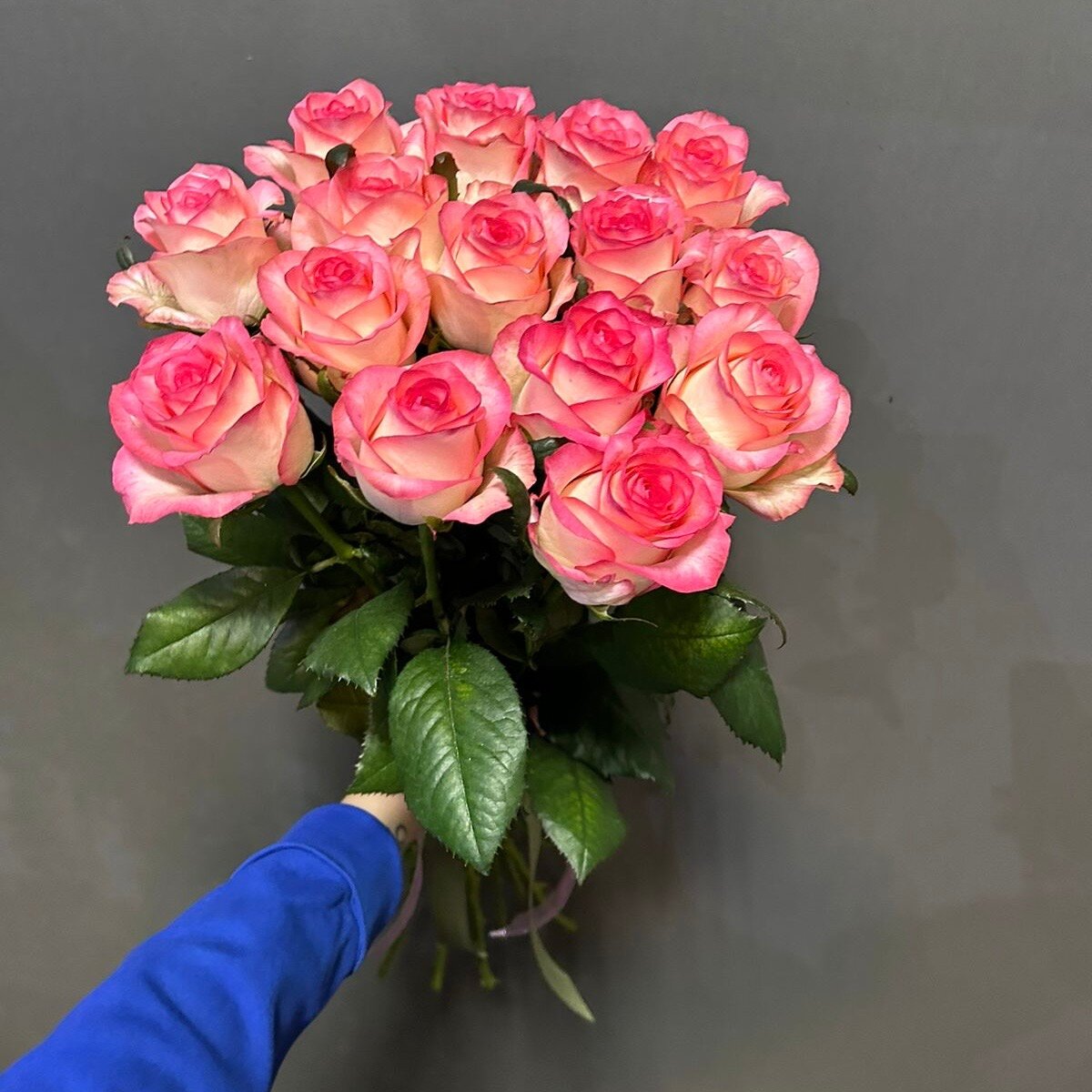 Букет из 15 роз Джумилия под ленту (60см)