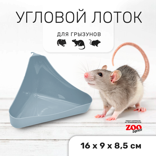 Zooexpress туалет лоток для грызунов угловой в клетку 16х9х8,5 см (серый)