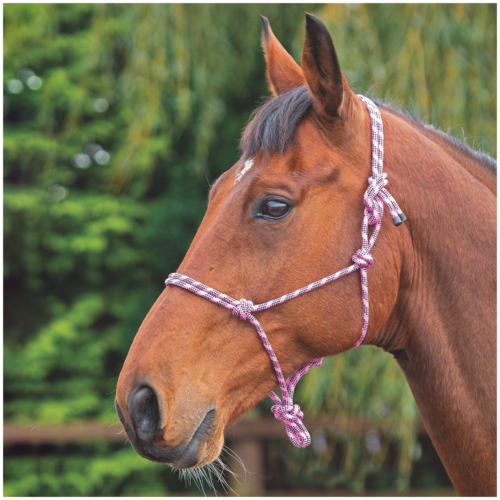 Недоуздок для лошади верёвочный SHIRES , розовый/чёрный (Великобритания)