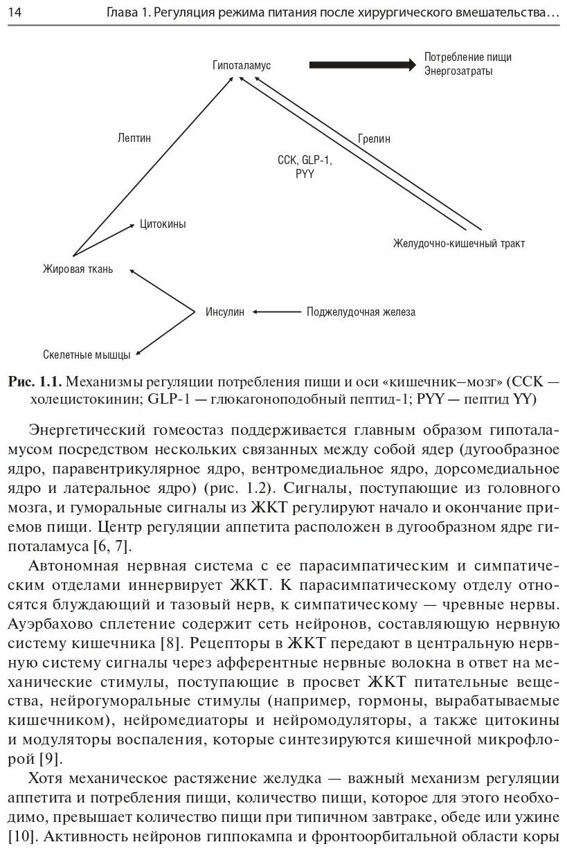 Нутритивная поддержка при хирургическом вмешательстве на желудке - фото №2