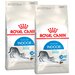 ROYAL CANIN INDOOR 27 для взрослых кошек живущих дома (10 + 10 кг)