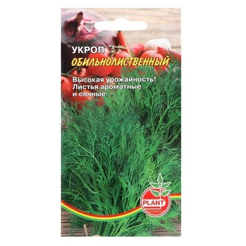 Семена Укроп Обильнолистный, 1 г в комлпекте 10, упаковок(-ка/ки) семена укроп витаминный 3 г в комлпекте 5 упаковок ка ки