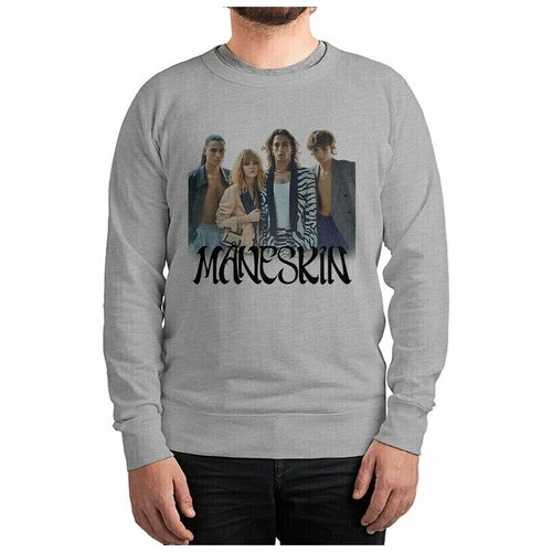 Свитшот DreamShirts с принтом Maneskin Мужской Серый 54 DREAM SHIRTS серый  