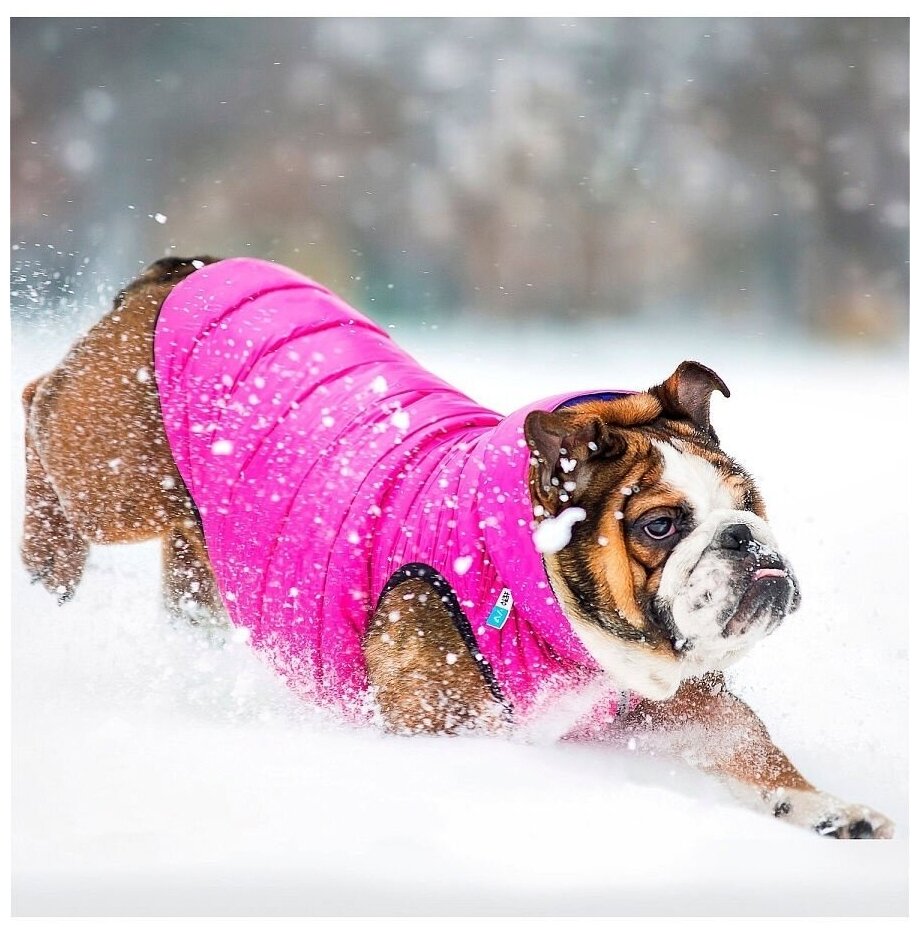 Курточка для собак AiryVest двусторонняя, размер L 55, розово-фиолетовая - фотография № 4