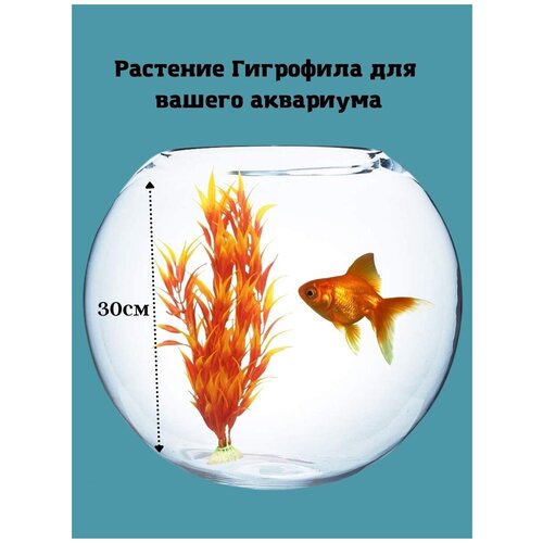 Растение Гигрофила красно-желтая пластик 30см