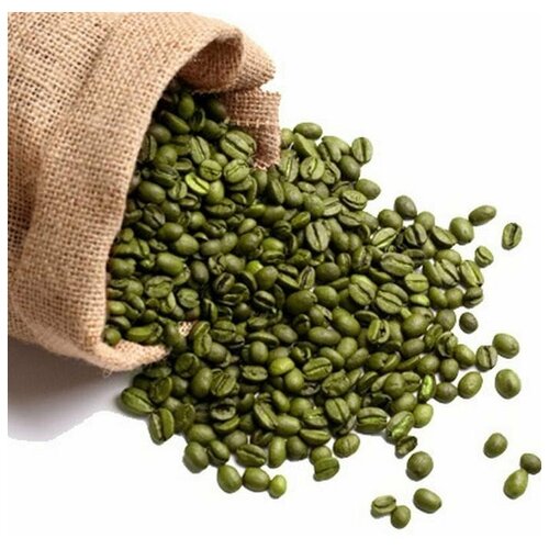 Экстракт Зеленого Кофе сухой (хлорогеновая кислота 20%) (25г)