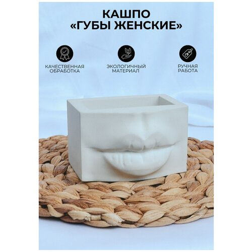 Органайзер для кистей/ кашпо из гипса/ декор из гипса для интерьера / изделие из гипса 