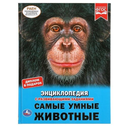 Энциклопедия А4 «Самые умные животные» умка энциклопедия а4 самые умные животные