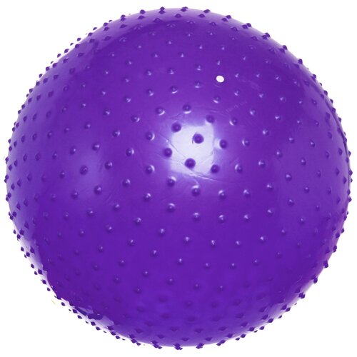 фото Мяч гимнастический sportage 75 см массажный 1000гр, фиолетовый
