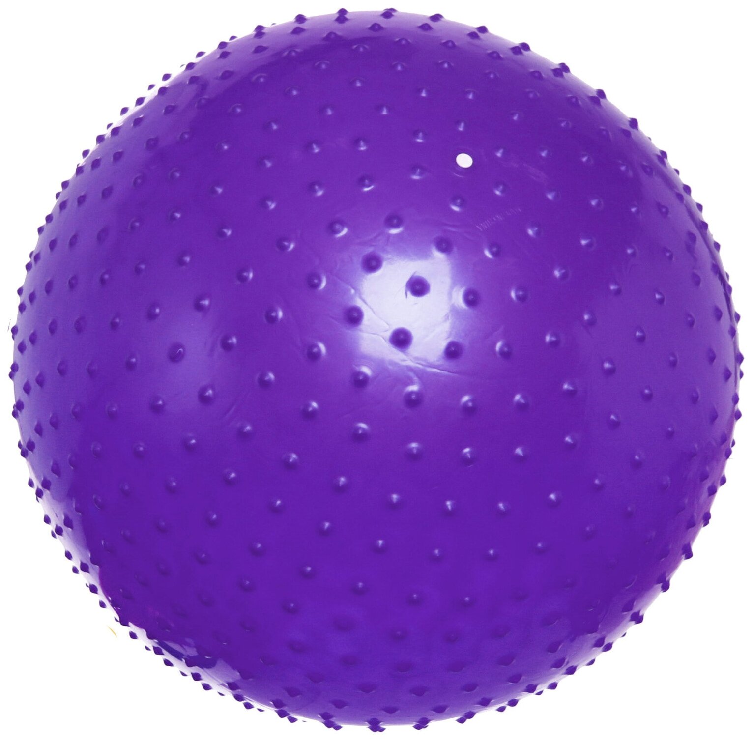 Мяч гимнастический Фитбол Sportage 75 см массажный 1000гр фиолетовый