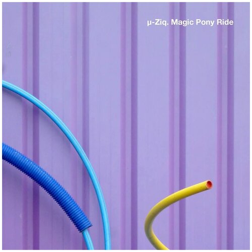 Виниловая пластинка U-Ziq. Magic Pony Ride (2 LP)