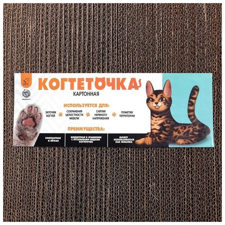 Когтеточка из картона I`M PURRFECT, 19 х 37 см - фотография № 7