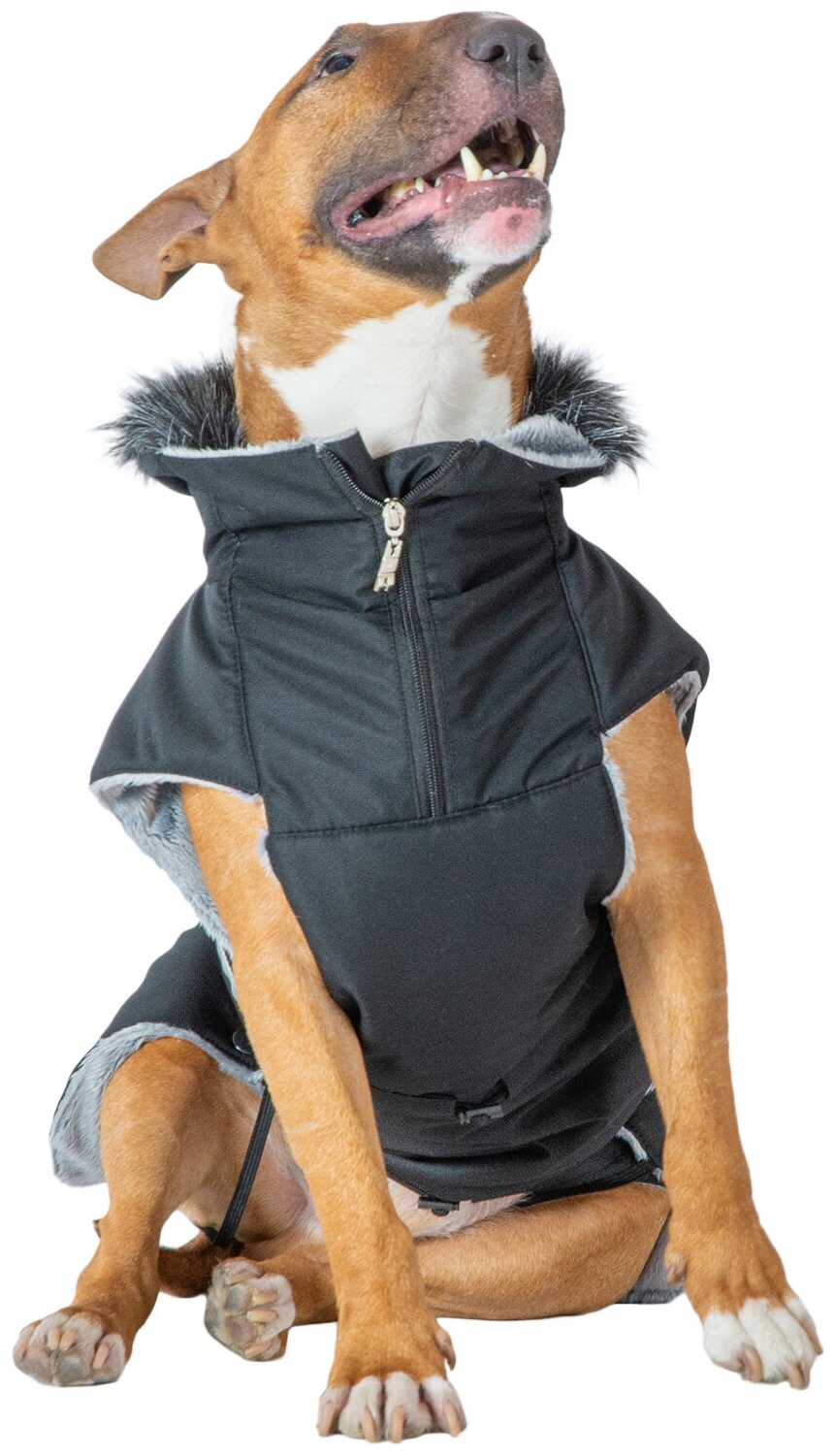 Попона для собак зимняя на синтепоне с мехом - черная, унисекср. 54 - фотография № 4