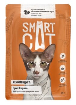 Smart Cat паучи Паучи для взрослых кошек и котят кусочки индейки со шпинатом в нежном соусе 0,085 кг 38071 (2 шт)