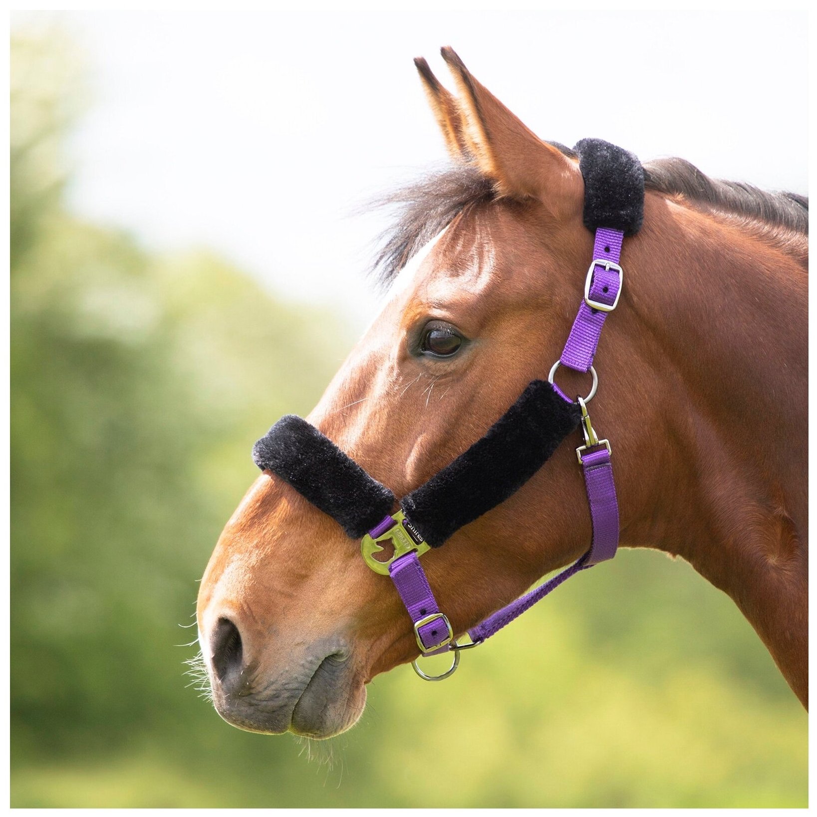 Недоуздок для лошади на флисе SHIRES , FULL, фиолетовый (Великобритания)