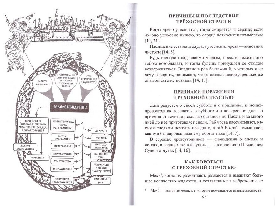 Греховные страсти и борьба с ними - фото №6