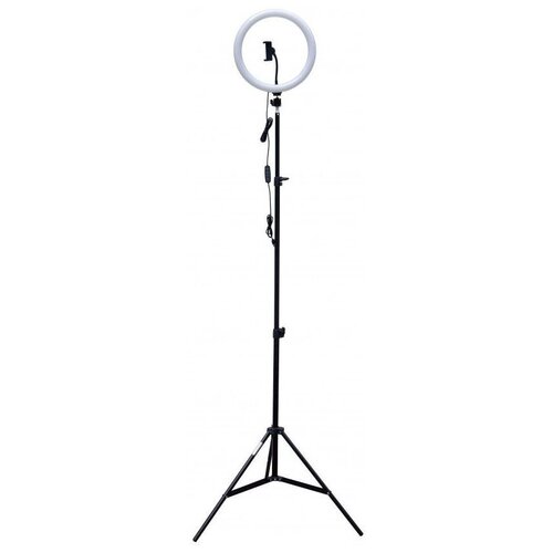 Осветитель Rekam RL-26 LED 444200₽