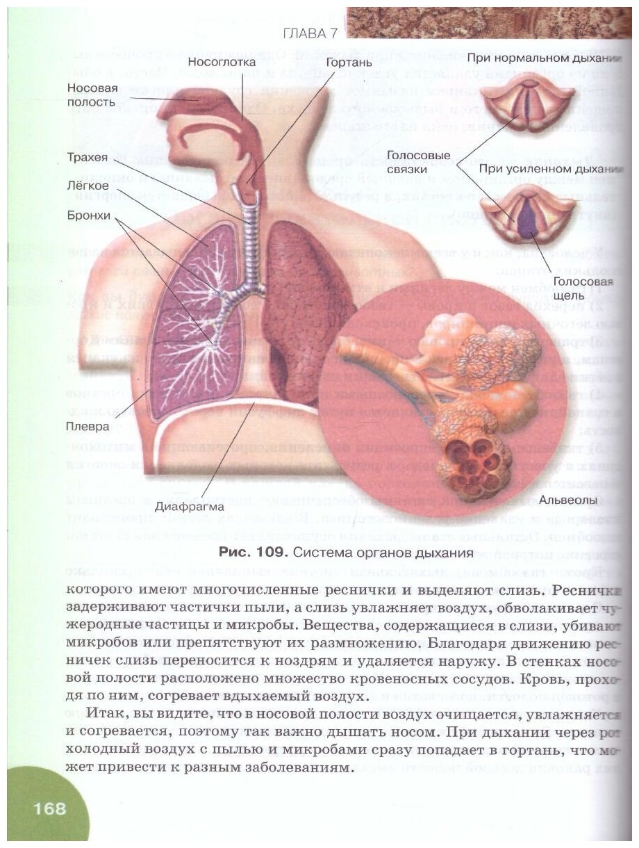 Биология Учебник 9 класс (Жемчугова Мария Борисовна, Романова Надежда Ивановна) - фото №5