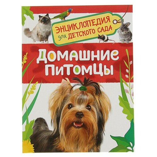 Энциклопедия для детского сада «Домашние питомцы» энциклопедия для детского сада домашние питомцы