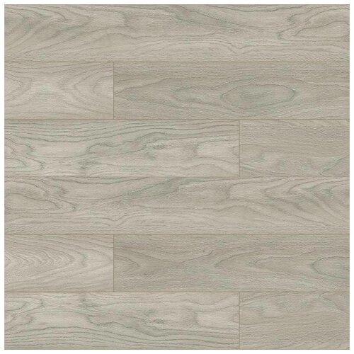 Varioclic Premium Medium Kadikoy PM-862