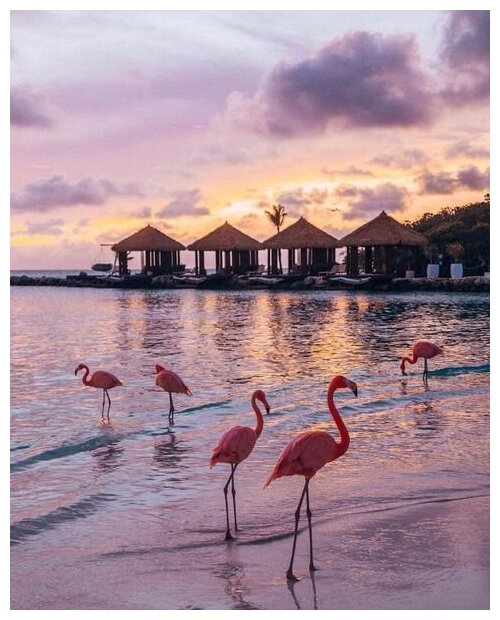 Картина по номерам Colibri "Фламинго на пляже" 40х50 см Холст на подрамнике
