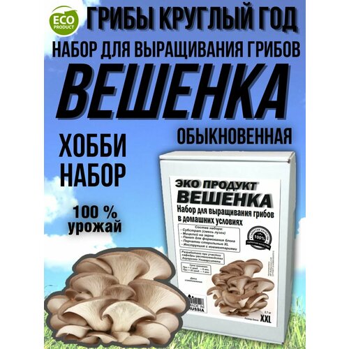 Набор для выращивания грибов