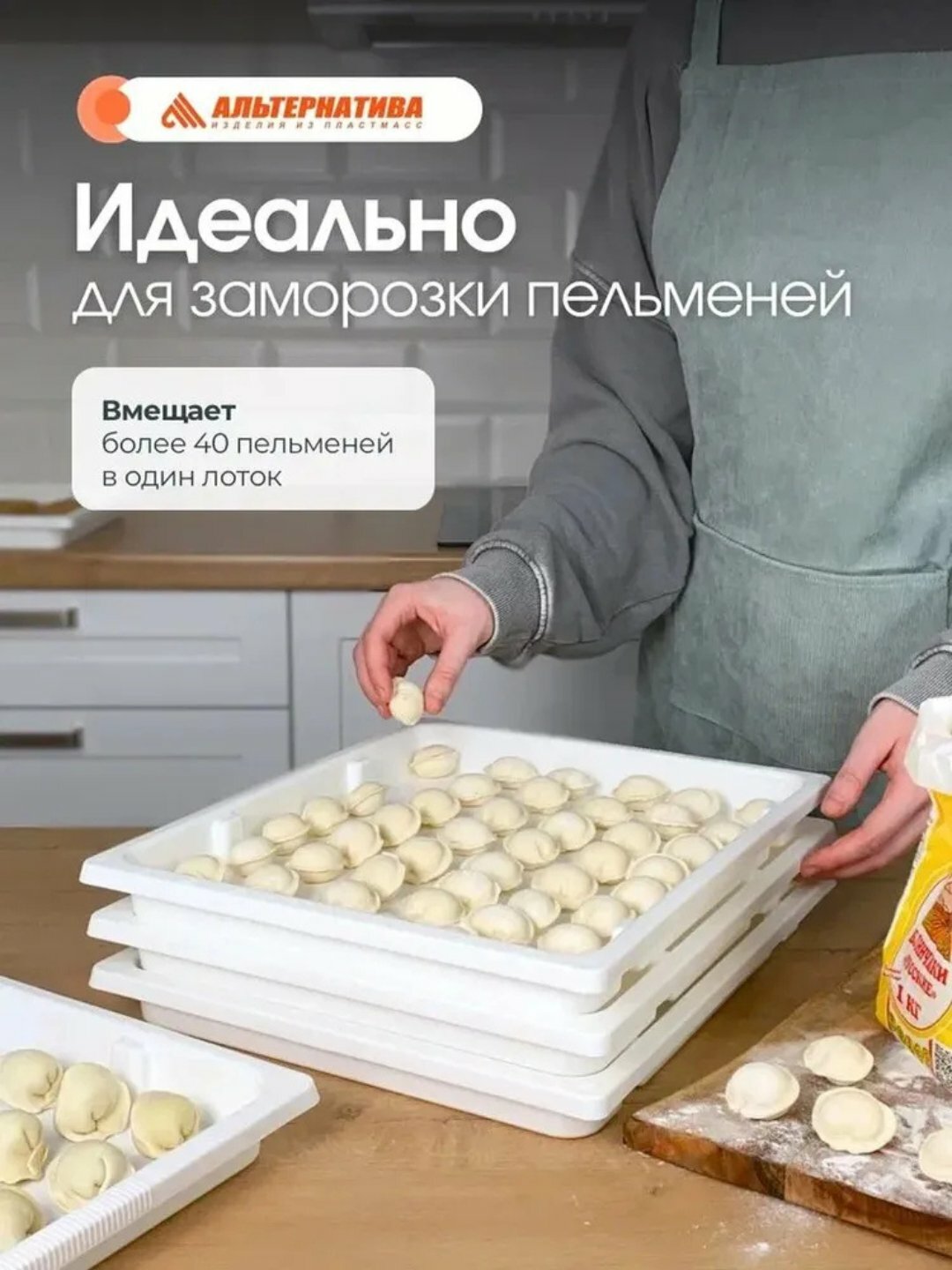 Набор подносов для заморозки, 360*250*30 мм, 3 шт Алтернатива — фото 1