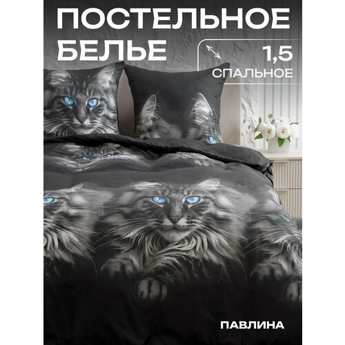 Постельное белье 1.5 спальное Павлина Мейнкун, Полисатин, наволочки 70x70 Pavlina