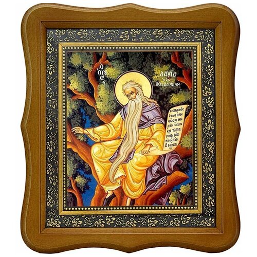 Давид Солунский (Фессалоникийский) Преподобный, отшельник. Икона на холсте.
