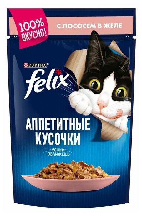 Влажный корм Felix Аппетитные кусочки для взрослых кошек, с лососем в желе 85 г - фотография № 10