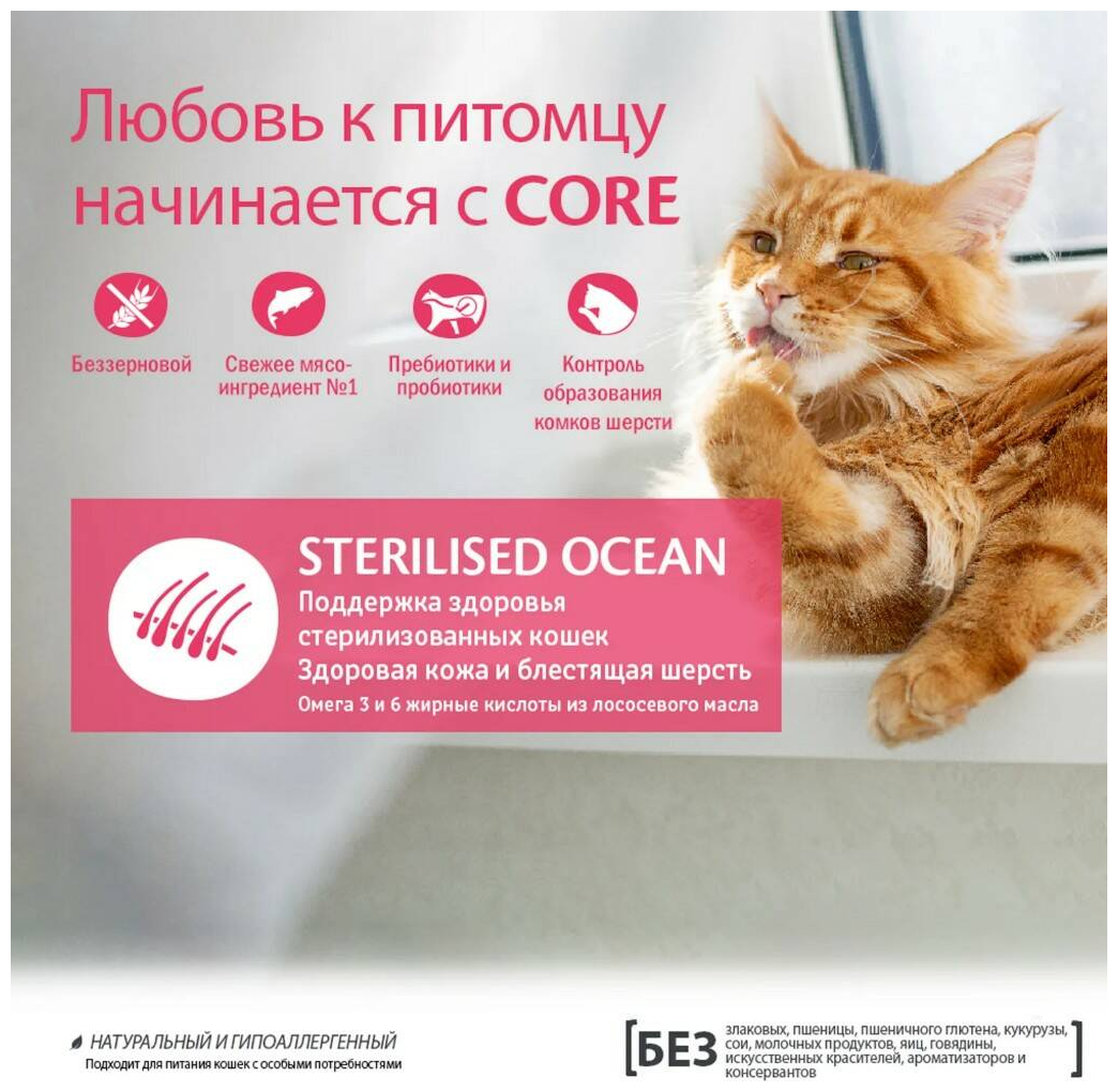 Корм сухой WELLNESS CORE "Adult Sterilised Ocean" для стерилизованных кошек с лососем 300 г - фотография № 6