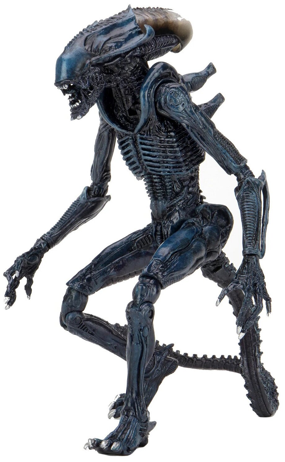 Фигурка Alien Vs Predator 7 Inch Figure -Arachnoid Alien 517208